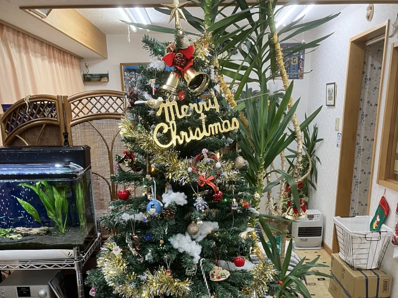 みらくる整体院のクリスマスツリー